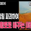 삼림영상 이미지