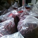 인하농장 이미지