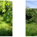 다락골신전마을 이미지