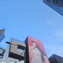 와바헤어 | 지그재그 뷰티풀 팝업 첫날 후기