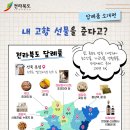 내고향농수산물 이미지