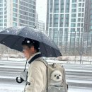 매교역 미용실 오슈살롱 오랜만에 내돈내산 염색 후기