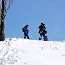 삼양목장 이미지