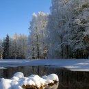 미래타운제2종합시장 이미지