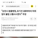 "순천시 동물병원, 유기견 100여마리 마취 없이 불법 고통사 시켰다" 주장 이미지