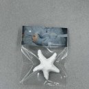 슈즈 콜 | 더콜디스트모먼트 26SS 컬렉션 선공개 팝업 후기 | 더현대 서울