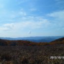 곰배령새소리 이미지