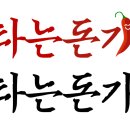 불타는돈가스 이미지