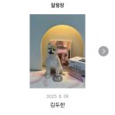 댕댕월드&퍼피 이미지