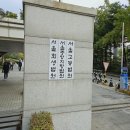 변호사김선진법률사무소
