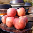 월곡농장 이미지