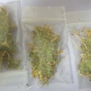 중앙유통 이미지