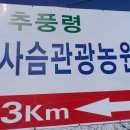 월류봉농원