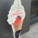 양재목장 이미지