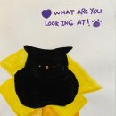 꿈꾸는화가미술학원 이미지