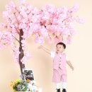 씬셀프스튜디오 이미지