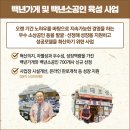 보름 베이커리 이미지