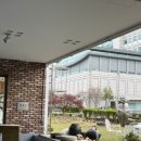 고궁담 이미지