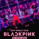 매일월드투어 이미지