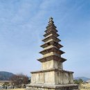 국보 제6호 충주 탑평리 7층 석탑(忠州 塔坪里 七層石塔) 이미지