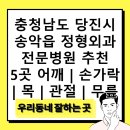 충청남도 당진시 송악읍 정형외과 전문병원 추천 5곳 어깨 | 손가락 | 목 | 관절 | 무릎