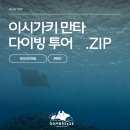 포세이돈 스쿠버다이빙 | 이시가키 프리다이빙 투어 : 실제로 본 만타가오리는 생각보다 더 거대했다