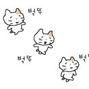 블루25 전포점 이미지