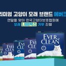 에버크린 이미지