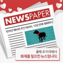 사랑플러스 동물병원 이미지