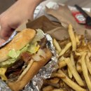 (주)쿠폰트리투어 | 여구가 조슈아트리 별멍투어 내돈내산 대만족 후기 (사진많음주의)