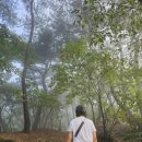 김밥먹고갑시다 이미지