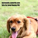 더 휴(B) 이미지