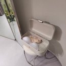 이뻐진개 | 💍4-2. 시작바이이명순 지정 촬영드레스 가봉 후기(시안포함)