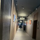 워너비호텔 | [강남웨딩홀 2]학동역 “엘리에나 호텔” 동시예식 상담 후기 (+26년 하반기 견적공유)