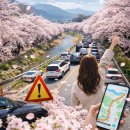 구례의길(섬진강길) | 구례 벚꽃축제 후기｜섬진강 벚꽃길 교통, 주차 현실까지 솔직 정리
