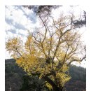 입암서원 앞 이미지