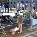 바글바글제주 이미지