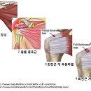 투모어휘트니스 지족점 이미지