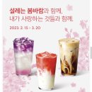 블라썸티 이미지