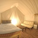 자라섬남도2(짚라인) 이미지