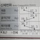 봄팩토리 | [부산/남구] 문현동 다이어트 '이뮨팩토리봄' 직장인 부종관리 누워서 체지방 순삭 후기