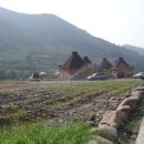 알프스관광펜션 이미지