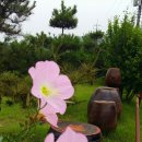 오다;가다 이미지