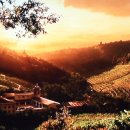 구름속의산책 이미지