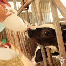 주식회사 미르통신 이미지