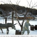 `한국의 알프스` 평창 이미지