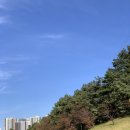 골프존드라이빙레인지공덕점 | 골프존카운티구미CC 노캐디셀프라운딩 후기 및 꿀팁정리