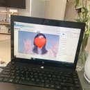 인셀덤열정 이미지