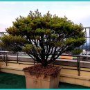 성가병원 이미지