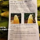 퀸마트 이미지